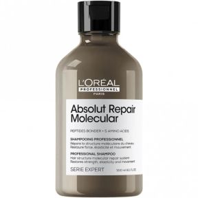 SE Absolut Repair Molecular Shampoo 300ml Sulphate Free